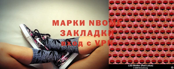 твердый Горнозаводск